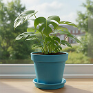 Set Mini Garden Tool Set For Garden Plants Flower Pot Shovel Rake Spade Tools Garden Plant Weeding and Fertilizing Tools photo review